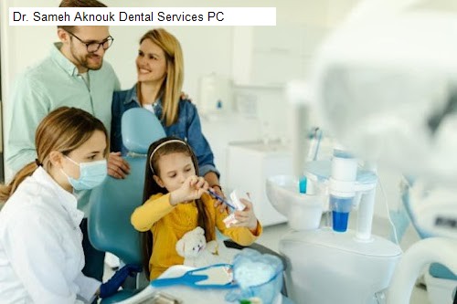 Dr. Sameh Aknouk Dental Services PC