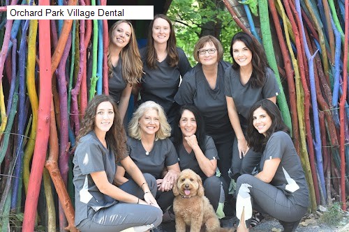 Orchard Park Village Dental