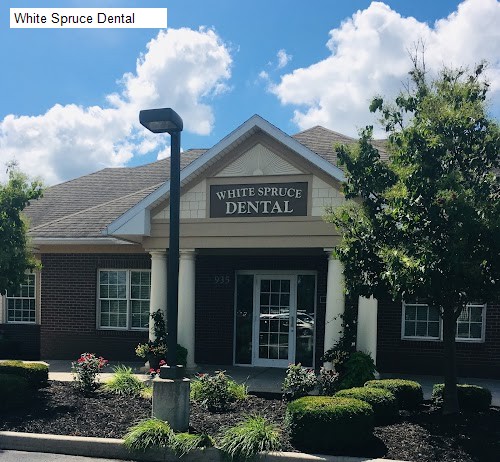 White Spruce Dental