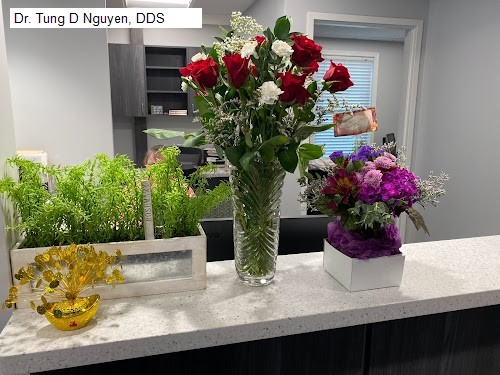 Dr. Tung D Nguyen, DDS