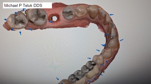 Michael P Teluk DDS