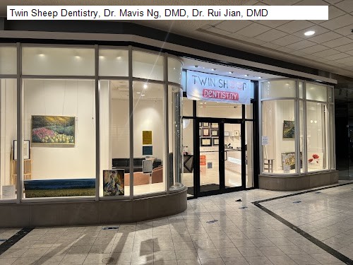 Twin Sheep Dentistry, Dr. Mavis Ng, DMD, Dr. Rui Jian, DMD