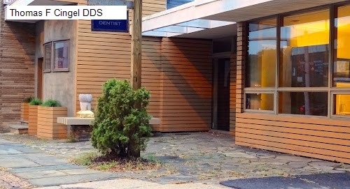 Thomas F Cingel DDS