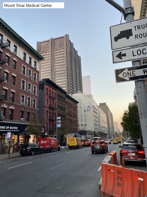 Mount Sinai Medical Center - new york