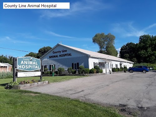 County Line Animal Hospital