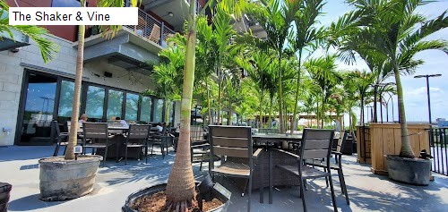 The Shaker & Vine
