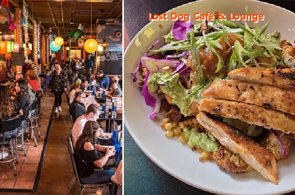 Lost Dog Café & Lounge