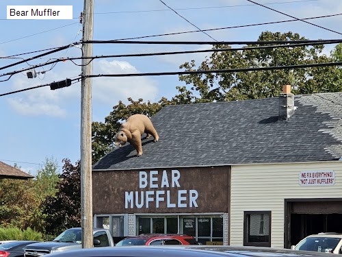 Bear Muffler