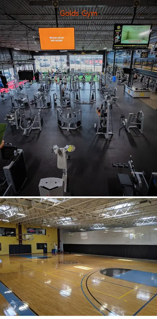 Golds Gym