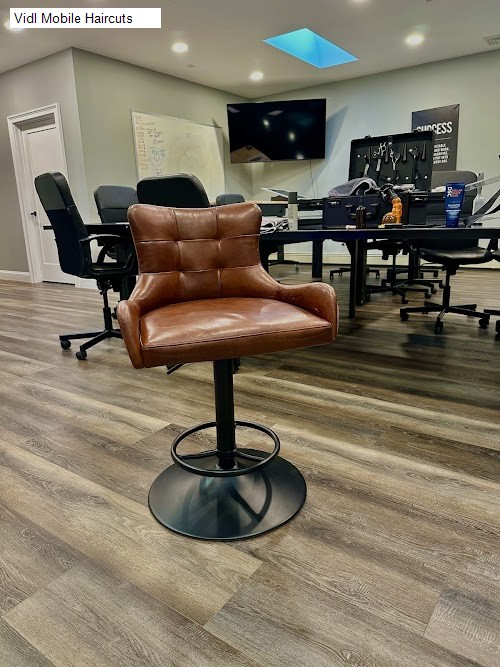Vidl Mobile Haircuts