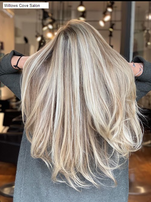 Willows Cove Salon