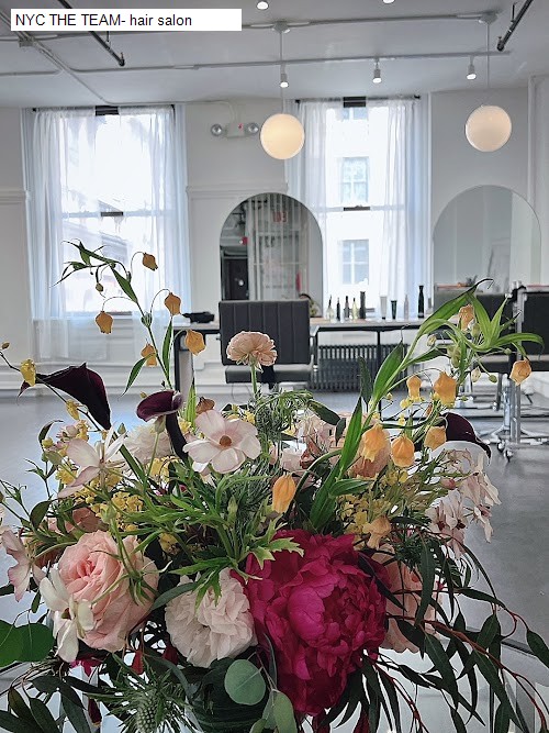 NYC THE TEAM- hair salon