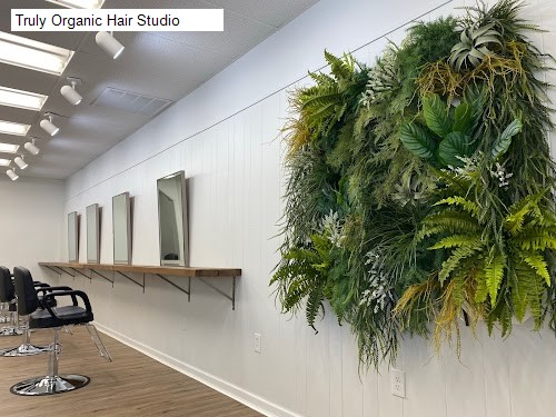 Truly Organic Hair Studio