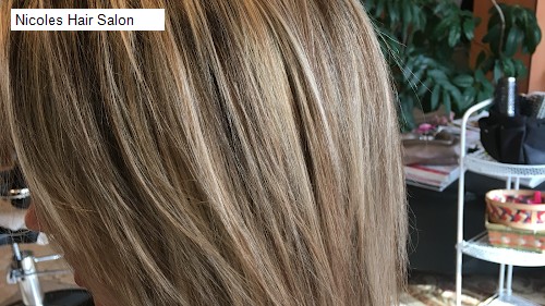 Nicoles Hair Salon