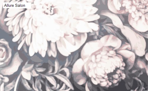 Allure Salon - queensbury