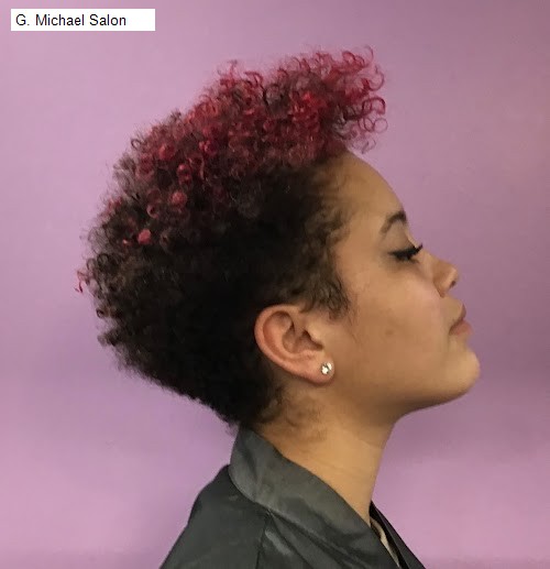 G. Michael Salon