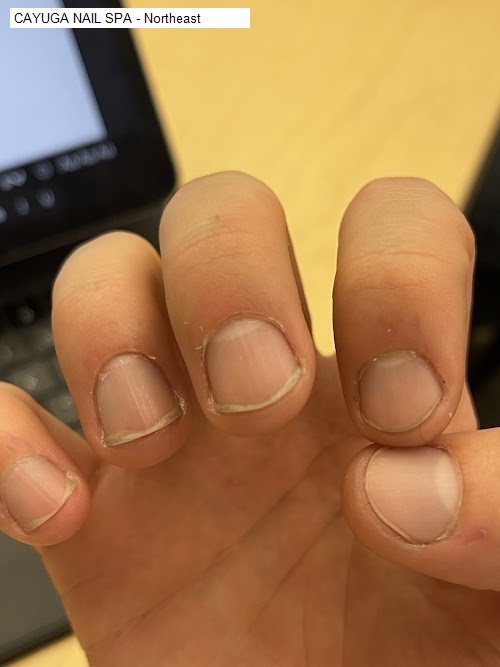 CAYUGA NAIL SPA - Northeast