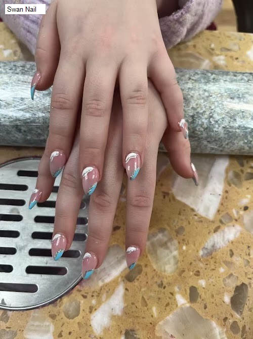 Swan Nail