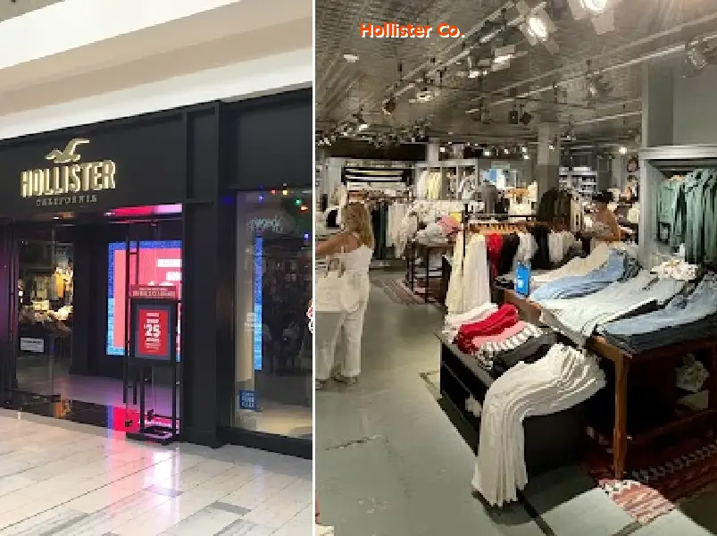 Hollister Co.