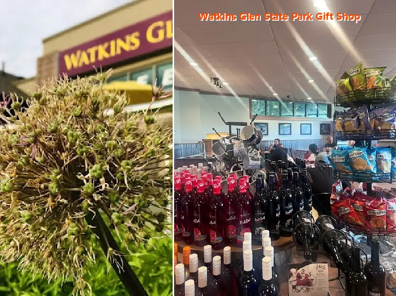 Watkins Glen State Park Gift Shop