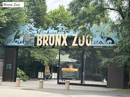 Bronx Zoo