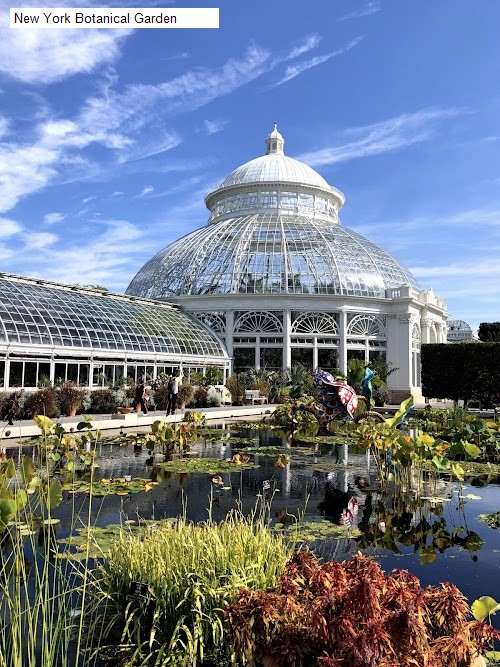 New York Botanical Garden