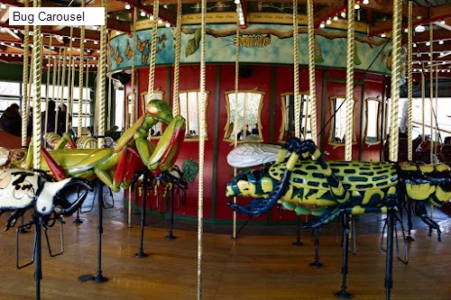 Bug Carousel