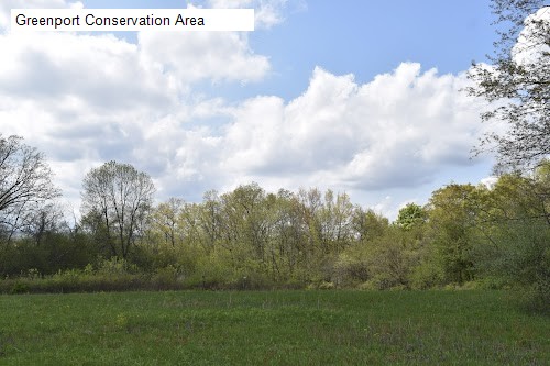 Greenport Conservation Area