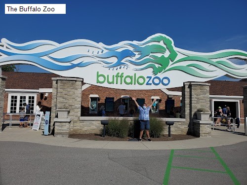 The Buffalo Zoo