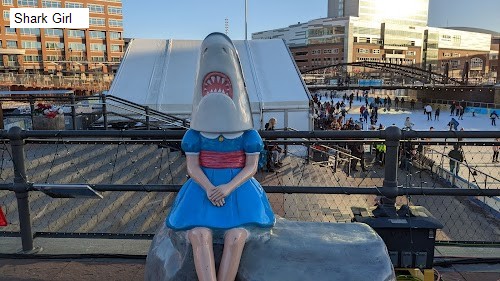 Shark Girl