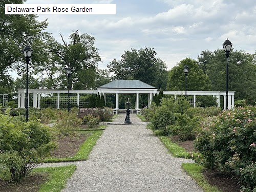 Delaware Park Rose Garden