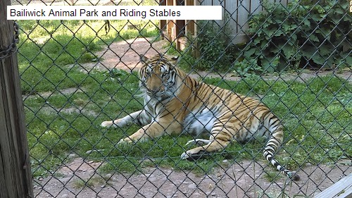 Bailiwick Animal Park and Riding Stables