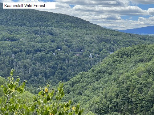 Kaaterskill Wild Forest