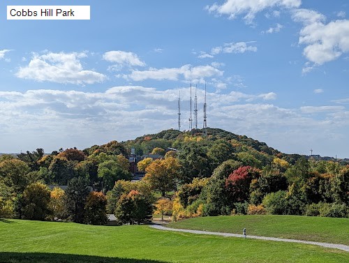 Cobbs Hill Park