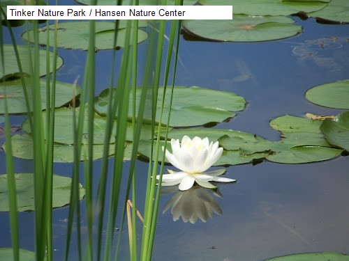 Tinker Nature Park / Hansen Nature Center