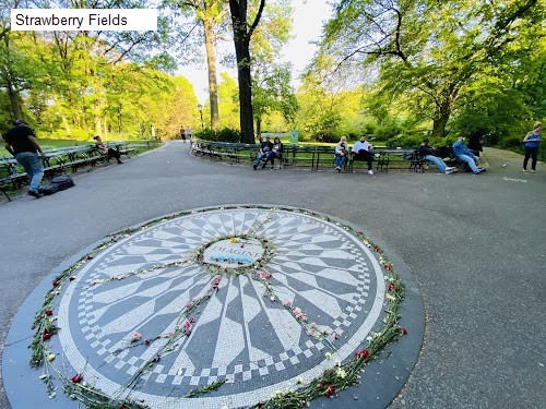 Strawberry Fields
