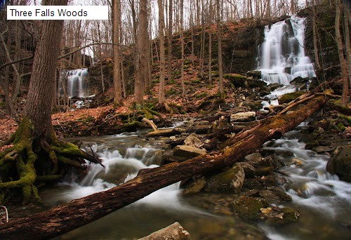 Three Falls Woods