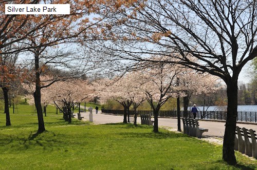 Silver Lake Park