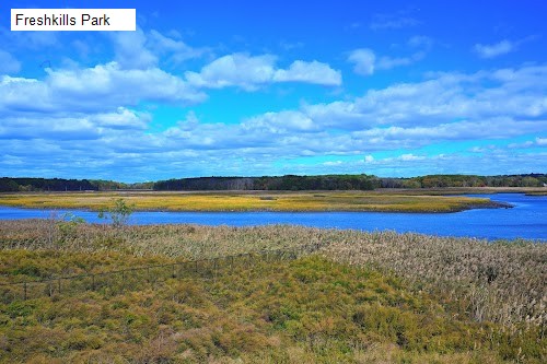 Freshkills Park