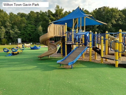 Wilton Town Gavin Park