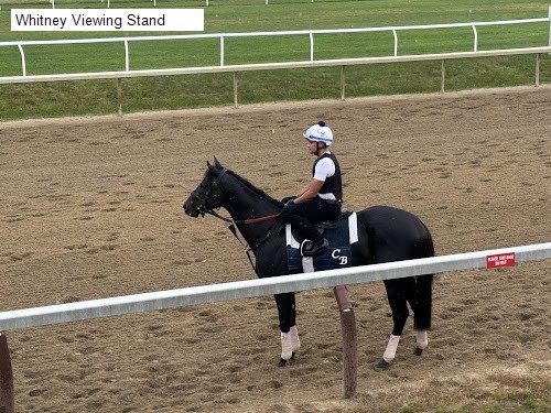 Whitney Viewing Stand
