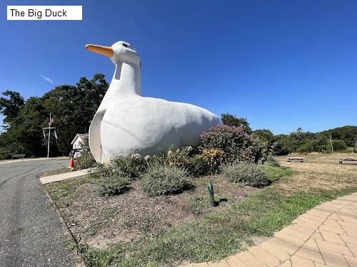 The Big Duck