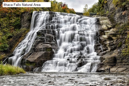 Ithaca Falls Natural Area