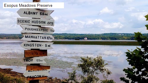 Esopus Meadows Preserve