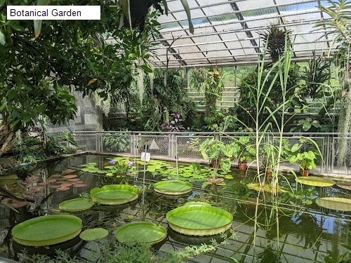 Botanical Garden